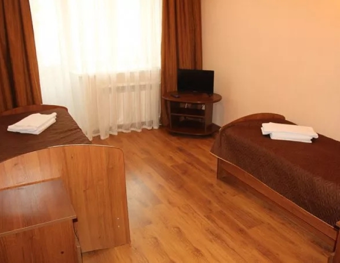 Стандарт 2-местный - Санаторий «Дельфин» Казань