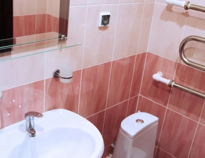 Стандарт 2-местный - Санаторий «Дельфин» Казань